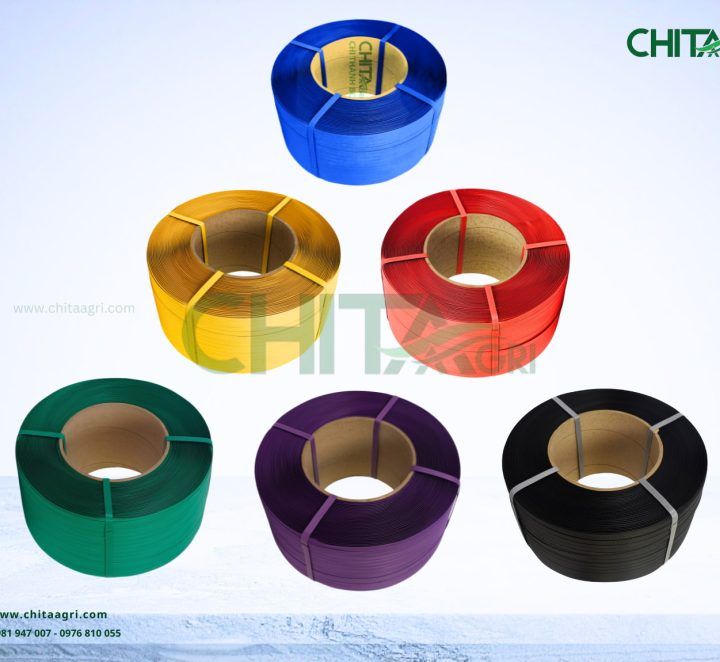 So sánh dây đai nhựa PP đóng hàng và các loại dây đai khác: Nên dùng loại nào cho đóng gói hiện đại?