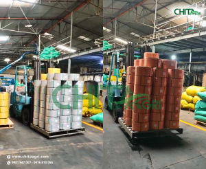 Từ xưởng sản xuất đến chuyến xe đầu năm rộn ràng: Nhựa Chí Thành BC sẵn sàng bứt tốc mùa kinh doanh mới