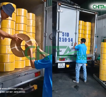 Từ xưởng sản xuất đến chuyến xe đầu năm rộn ràng: Nhựa Chí Thành BC sẵn sàng bứt tốc mùa kinh doanh mới