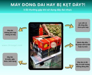 Máy đóng đai hay kẹt dây, tuột đai? 5 lỗi phổ biến liên quan đến dây đai nhựa