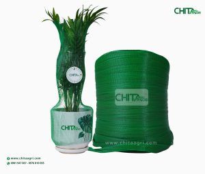 Lưới bọc chậu cây Chita Agri trong vận chuyển cây cảnh dịp Tết: Giữ dáng – Giữ lá - Hạn chế trầy xước chậu