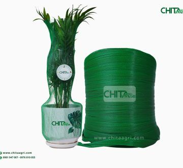 Lưới bọc chậu cây trong vận chuyển cây cảnh dịp Tết: Giữ dáng – Giữ lá – Hạn chế trầy xước chậu