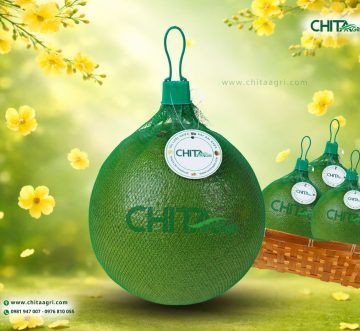 Vì sao túi lưới đựng bưởi đóng gói sẵn giúp chốt đơn nhanh hơn trong mùa Tết?