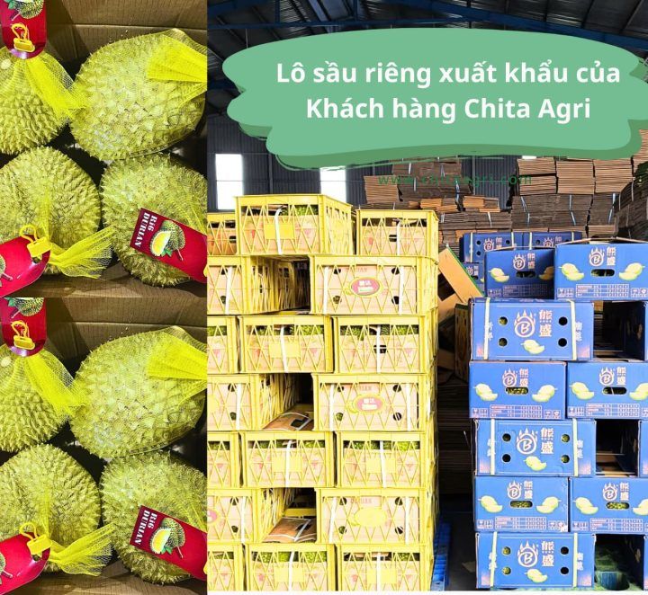 Túi lưới đựng trái cây kết hợp rổ nhựa & thùng carton: Cách đóng gói đúng quy trình