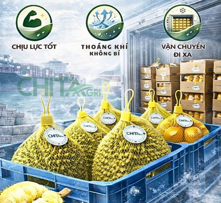 Túi lưới đựng trái cây chịu lực – thoáng khí: Yếu tố giúp hàng đi xa vẫn giữ chất lượng