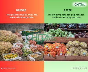 Túi lưới đựng nông sản Chita Agri – Chuẩn đóng gói thống nhất cho Hợp tác xã & Doanh nghiệp khi thu mua từ nhiều nhà vườn