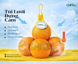 Túi lưới đựng cam Chita Agri giúp hàng hóa nổi bật hơn khi trưng bày, tăng tính gọn gàng và chuyên nghiệp tại điểm bán. Thiết kế lưới ô đều giúp sản phẩm bên trong dễ quan sát, tạo cảm giác sạch sẽ và tin cậy cho người mua.