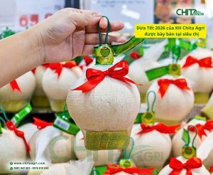 Túi lưới đựng dừa giúp đóng gói nông sản Tết thẩm mỹ, tiện lợi, dễ bán. Chita Agri cung cấp túi lưới nhựa nhiều kích thước, màu sắc, giao hàng toàn quốc.