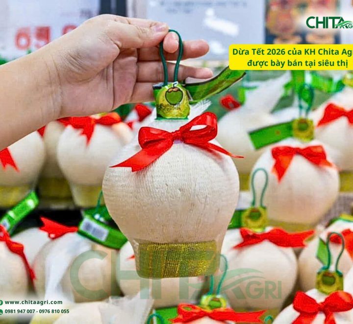 Vì sao đóng túi lưới giúp nông sản bán nhanh hơn dịp Tết?