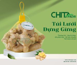 Túi Lưới Đựng Gừng Chita Agri– Giúp Gừng Thoáng Khí, Hạn Chế Mốc Hư Và Giữ Tươi Lâu Hơn