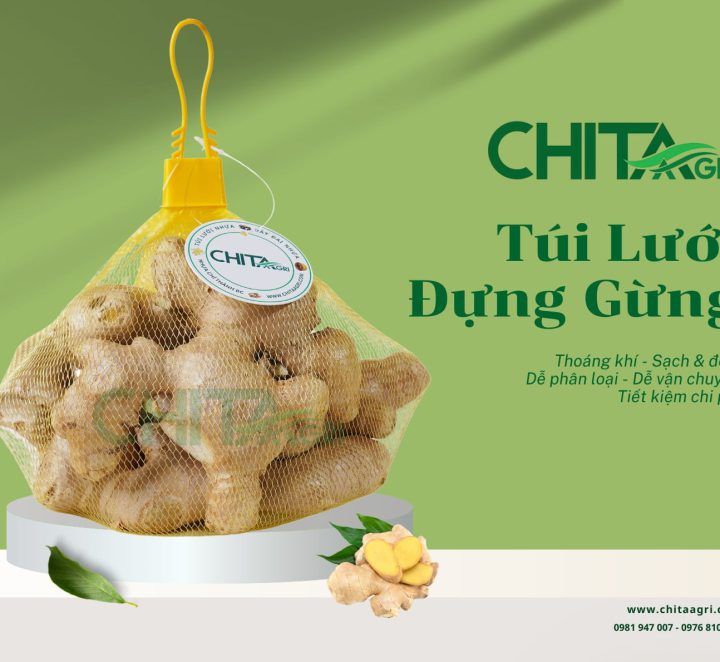 Cách Chọn Kích Thước Túi Lưới Đựng Gừng Phù Hợp Theo Trọng Lượng