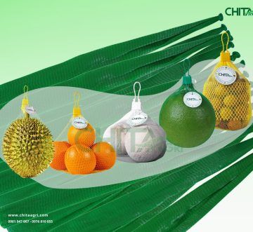 Kinh nghiệm chọn túi lưới nhựa đúng chuẩn đóng gói cho từng loại hàng hóa