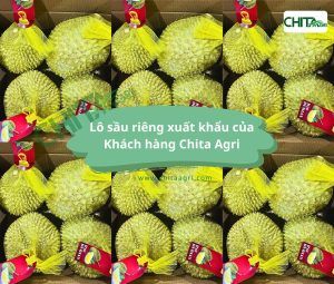 Túi lưới nhựa Chita Agri được thiết kế thông thoáng, giúp hàng hóa “thở” tốt, hạn chế ẩm và giữ độ tươi trong suốt quá trình lưu kho – vận chuyển.