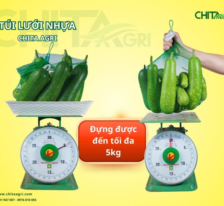 Làm sao chọn túi lưới nhựa đựng 3–5kg mà không lo đứt, bung đáy?