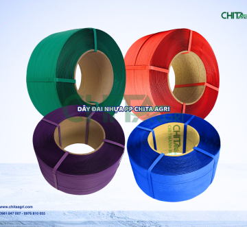 Vì sao vựa nông sản và doanh nghiệp xuất khẩu nên sử dụng dây đai nhựa cho thùng carton?