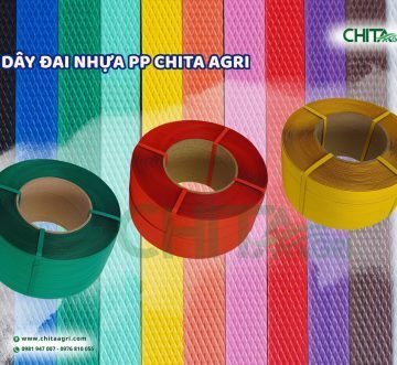 Top Địa Chỉ Bán Dây Đai Giá Sỉ TP.HCM Được Nhiều Doanh Nghiệp Lựa Chọn