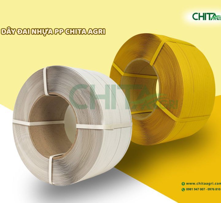Nên chọn dây đai PP màu trắng hay màu vàng? Đâu là lựa chọn phù hợp cho từng nhu cầu đóng gói?