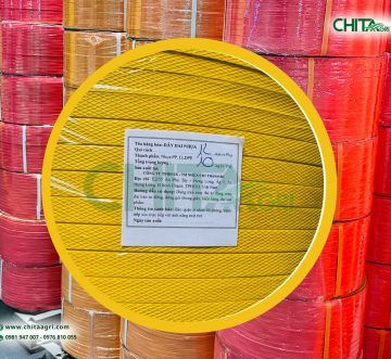 Kinh Nghiệm Chọn Dây Đai Nhựa Đóng Gói Phù Hợp Cho Từng Loại Hàng Hóa