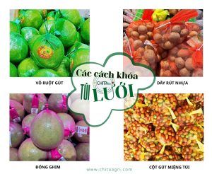 Các loại khóa túi lưới phổ biến hiện nay