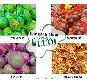 Doanh nghiệp nên chọn loại khóa túi lưới nào cho từng nhu cầu đóng gói?
