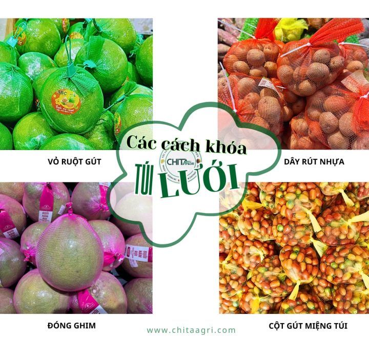Doanh nghiệp nên chọn loại khóa túi lưới nào cho từng nhu cầu đóng gói?