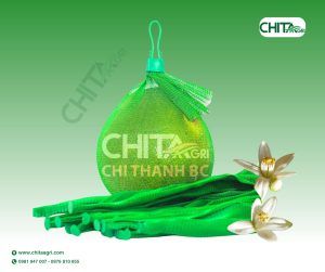 Túi lưới đóng bưởi Chita Agri được thiết kế thông thoáng, giúp hàng hóa “thở” tốt, hạn chế ẩm và giữ độ tươi trong suốt quá trình lưu kho, vận chuyển, bảo quản và bán lẻ.
