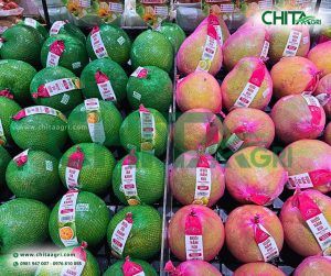 Túi lưới đóng bưởi Chita Agri giúp hàng hóa nổi bật hơn khi trưng bày, tăng tính đồng đều, gọn gàng và chuyên nghiệp tại điểm bán.
