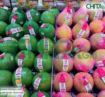 Túi Lưới Đóng Bưởi – Cách Đóng Gói Giúp Đồng Đều Và Chuyên Nghiệp Hơn