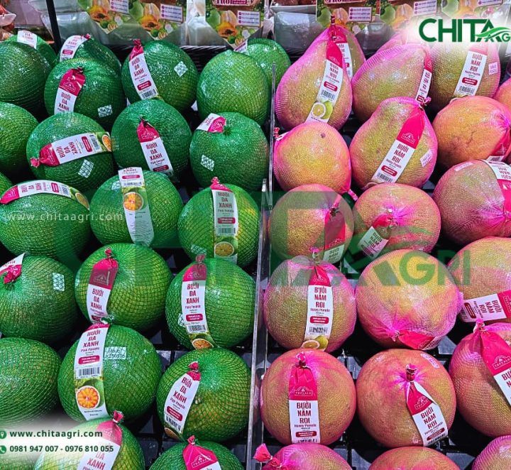 Túi Lưới Đóng Bưởi – Cách Đóng Gói Giúp Đồng Đều Và Chuyên Nghiệp Hơn
