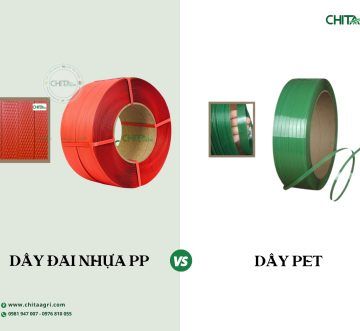 Dây Đai PP Hay PET Tốt Hơn Cho Hàng Xuất Khẩu Đường Biển?