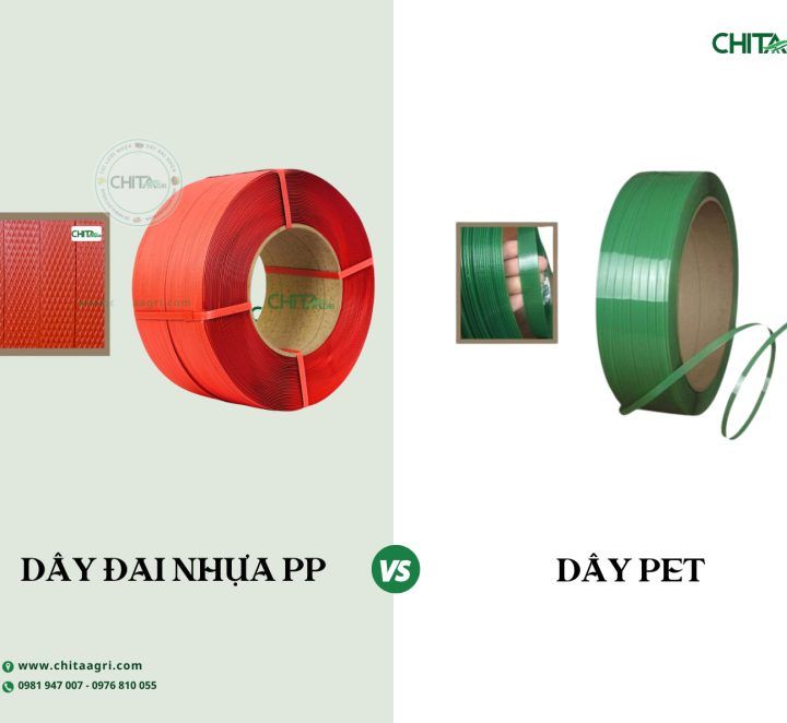 Dây Đai PP Hay PET Tốt Hơn Cho Hàng Xuất Khẩu Đường Biển?