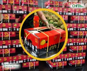 Dây đai nhựa Chita Agri được sản xuất từ nhựa PP chất lượng cao, độ bền kéo ổn định, giúp cố định hàng hóa chắc chắn trong suốt quá trình vận chuyển.