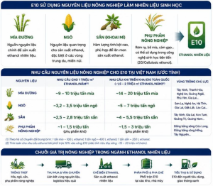 Xăng sinh học E10 mở ra cơ hội mới cho nông dân, hợp tác xã và doanh nghiệp nông nghiệp thông qua nhu cầu nguyên liệu sinh học, vùng trồng và chuỗi giá trị xanh