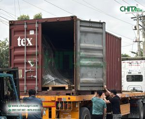 Dây Chuyền Sản Xuất Túi Lưới Mới Đã Về Xưởng: Chita Agri Tăng Tốc Phục Vụ Thị Trường Trong Nước Và Xuất Khẩu