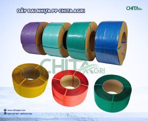 Túi lưới nhựa Chita Agri được thiết kế thông thoáng, giúp hàng hóa “thở” tốt, hạn chế ẩm và giữ độ tươi trong suốt quá trình lưu kho, vận chuyển, bảo quản và bán lẻ.