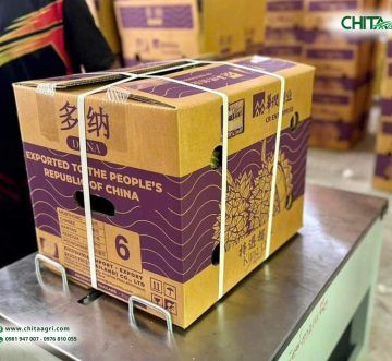 So Sánh Dây Đai PP Dùng Cho Máy Đóng Đai Bán Tự Động Và Máy Đóng Đai Tự Động