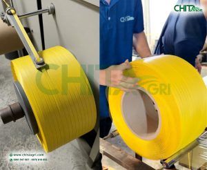 Tại Chita Agri, mỗi cuộn dây đai đều được kiểm tra chất lượng, vệ sinh ngoại quan, quấn màng bọc đồng đều, niêm phong, đóng đai cẩn thận và kiểm tra lần cuối trước khi xuất kho