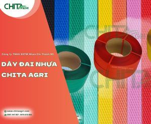 Nhựa Chí Thành BC là doanh nghiệp sản xuất bao bì nhựa, chuyên cung cấp dây đai nhựa và túi lưới nhựa chất lượng cao phục vụ đóng gói nông sản, công nghiệp và logistics.