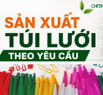 Sản Xuất Túi Lưới Nhựa Theo Yêu Cầu: Quy Cách Và Quy Trình Doanh Nghiệp Cần Biết