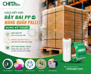 Dây đai PP và màng quấn pallet không phải hai vật tư thay thế nhau mà là hai lớp cố định bổ trợ. Dây đai tạo lực gia cố cho kiện hàng, trong khi màng quấn giúp liên kết các lớp hàng và hạn chế xê dịch.