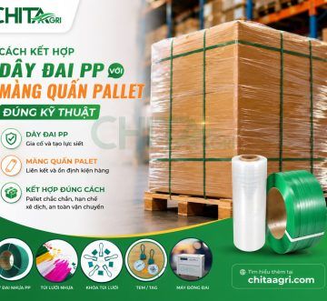 Cách Kết Hợp Dây Đai PP Với Màng Quấn Pallet Đúng Kỹ Thuật