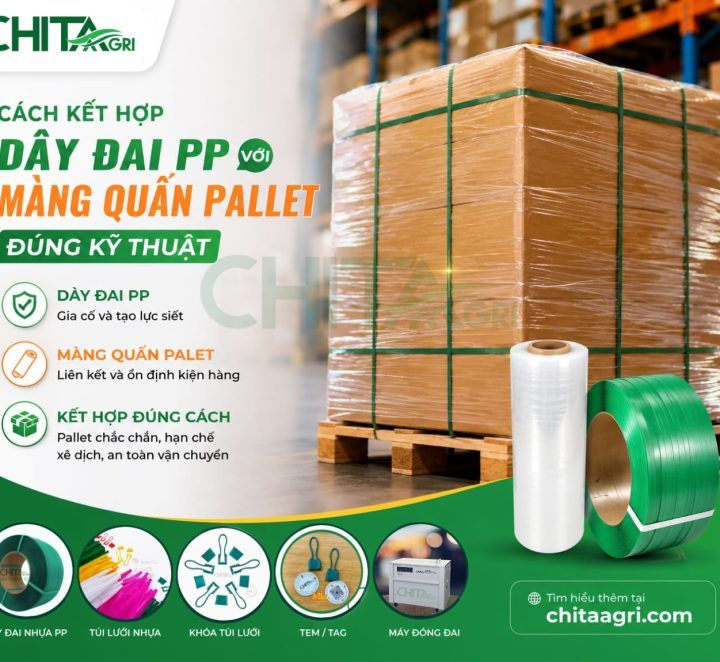 Cách Kết Hợp Dây Đai PP Với Màng Quấn Pallet Đúng Kỹ Thuật