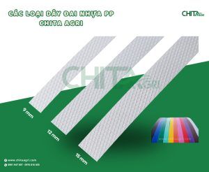 Dây PP Chita Agri hiện có nhiều kích thước phổ biến như 9 mm, 12 mm và 15 mm. Tùy loại hàng hóa, doanh nghiệp có thể lựa chọn kích thước phù hợp thay vì sử dụng một quy cách cho toàn bộ sản phẩm