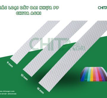 Cách Chọn Dây Đai Nhựa PP Theo Tải Trọng Và Loại Hàng Hóa