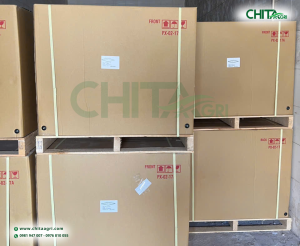 Dây đai PP được sử dụng phổ biến trong nhiều hoạt động đóng gói nhờ trọng lượng nhẹ, tính linh hoạt và khả năng cố định thùng carton, kiện hàng, pallet