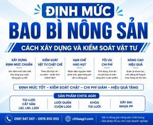 Định Mức Bao Bì Nông Sản: Cách Xây Dựng Và Kiểm Soát Vật Tư - Chita Agri