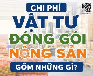 Tìm hiểu các khoản vật tư, yếu tố ảnh hưởng giá và cách tối ưu chi phí cho doanh nghiệp.