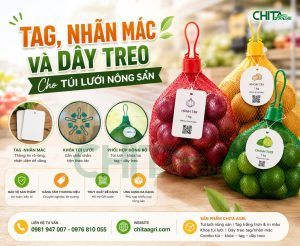 Tag, nhãn mác và dây treo tuy có kích thước nhỏ nhưng lại nằm ở điểm giao giữa bao bì – nhận diện – trưng bày – quản lý hàng hóa.