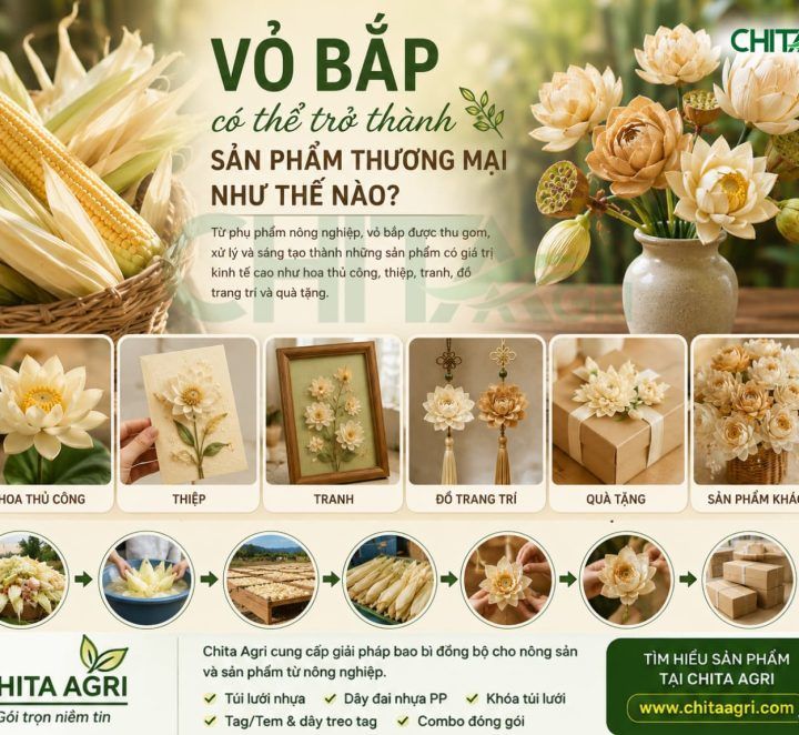 Vỏ Bắp Có Thể Trở Thành Sản Phẩm Thương Mại Như Thế Nào?