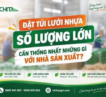 Đặt Túi Lưới Nhựa Số Lượng Lớn: Cần Thống Nhất Những Gì Với Nhà Sản Xuất?